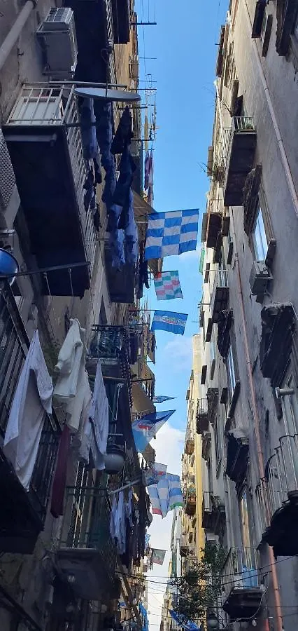 Suite Dei Borboni - Appartamento Napoli