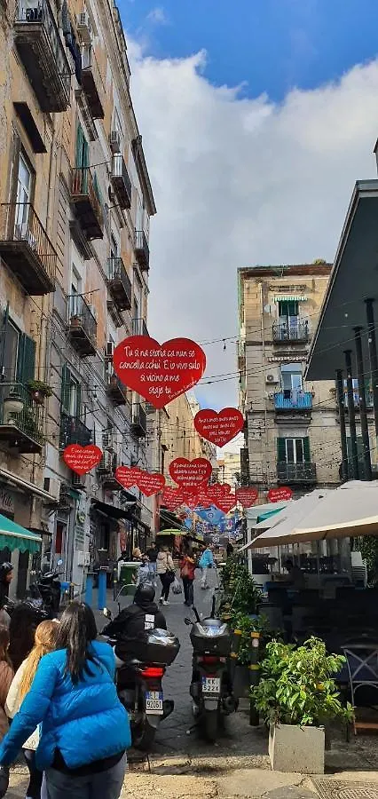 Suite Dei Borboni - Appartamento Napoli 0*,