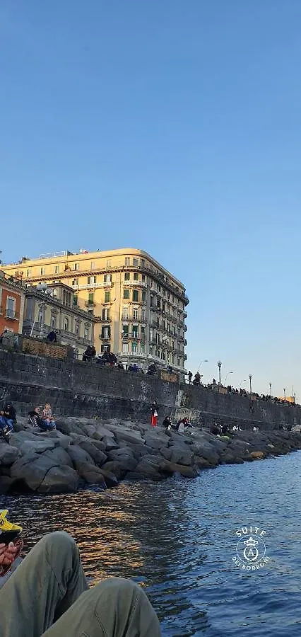 Suite Dei Borboni - Appartamento Napoli