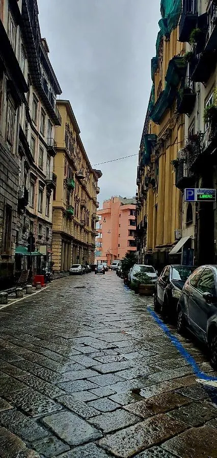 Suite Dei Borboni - Appartamento Napoli