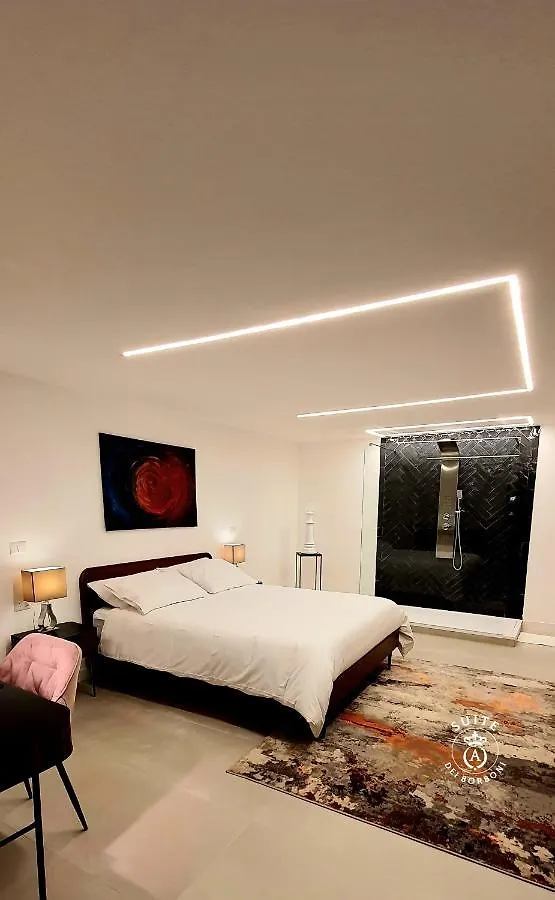 Suite Dei Borboni - Appartamento Napoli